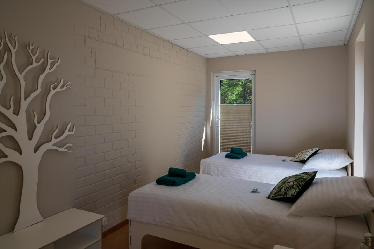 Joesuu Guesthouse Vaana-Joesuu Eksteriør billede
