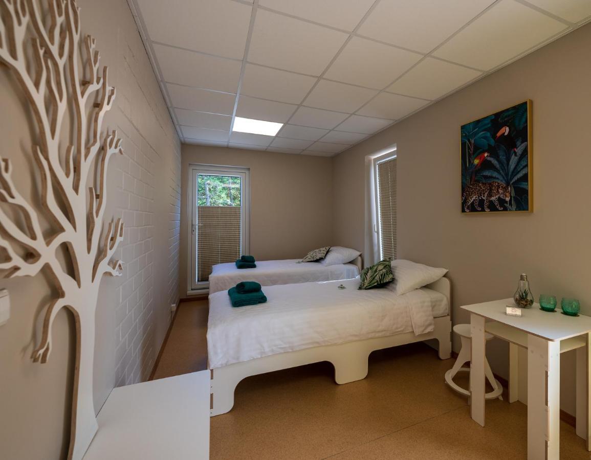 Joesuu Guesthouse Vaana-Joesuu Eksteriør billede